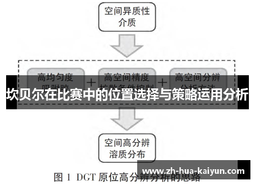 坎贝尔在比赛中的位置选择与策略运用分析